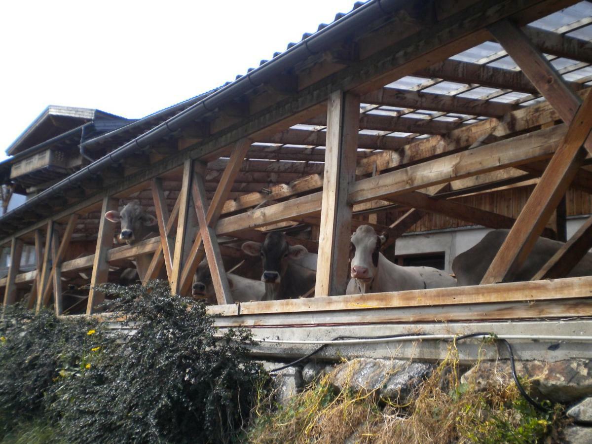 Weberhof Vila Trins Exterior foto